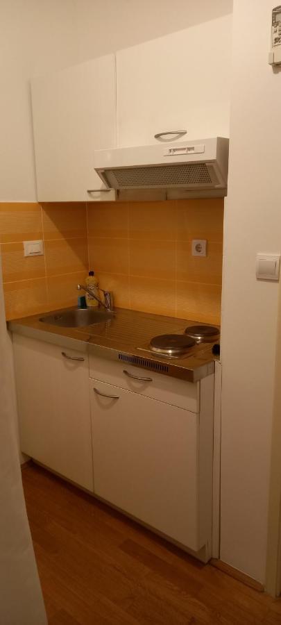 Apartament Zsa Zsa Zenta 1