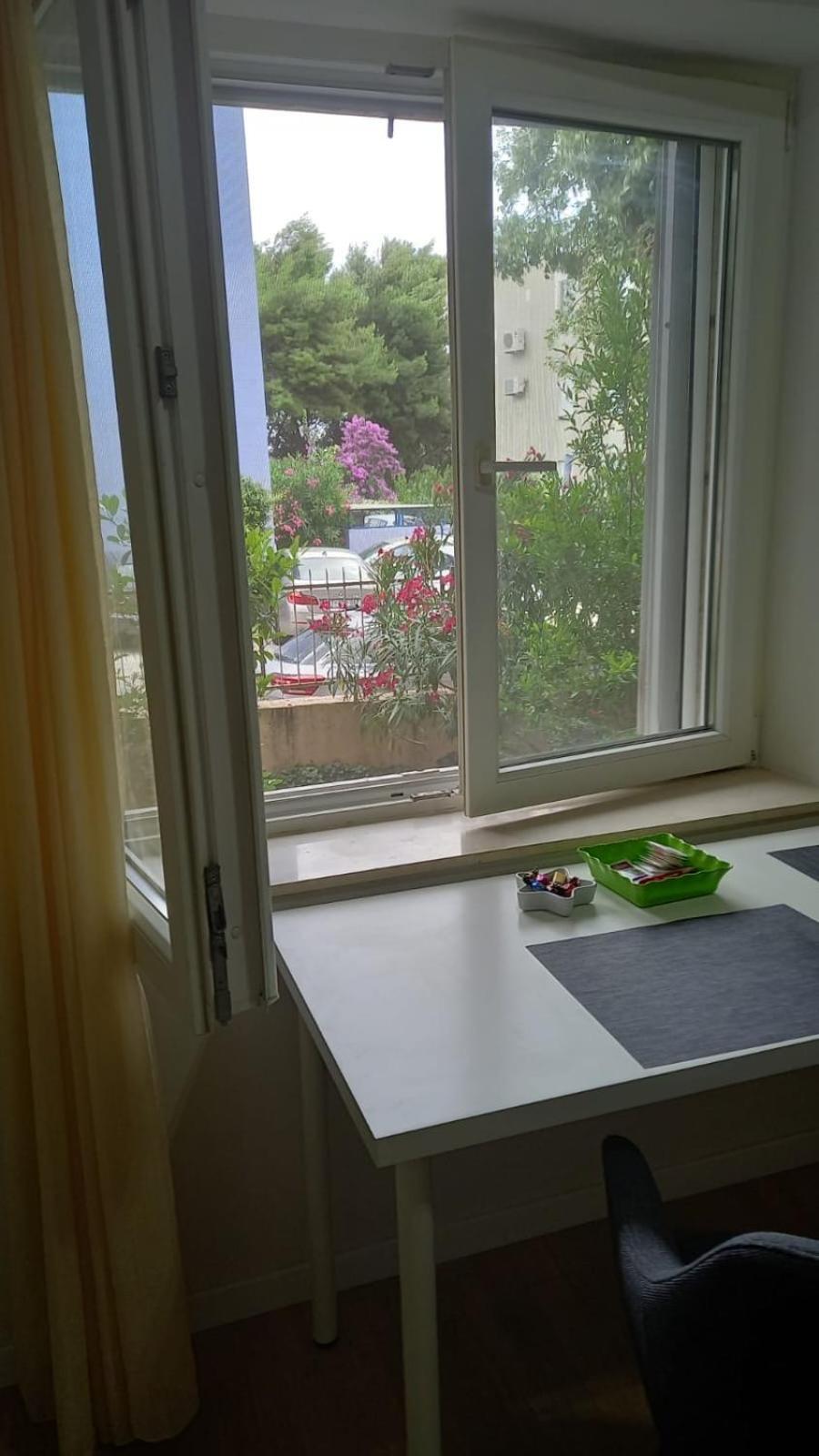 Apartament Zsa Zsa Zenta 1